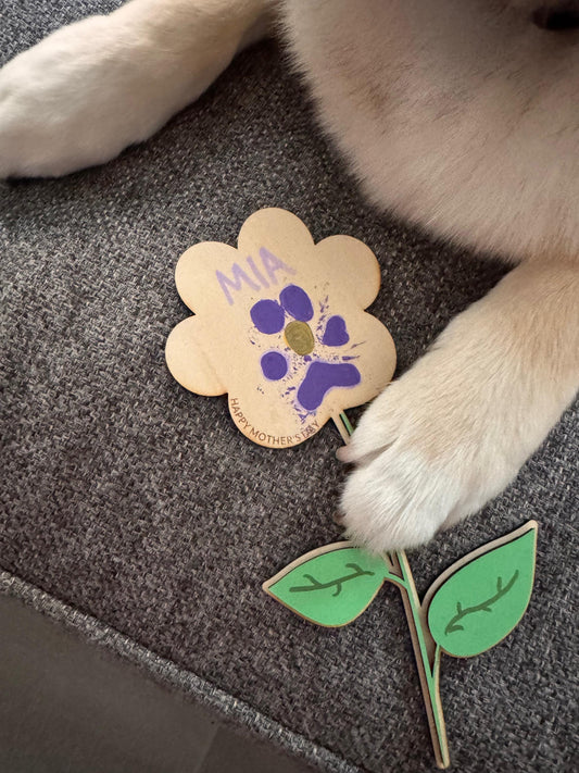 Mother’s Day Paw Print Flower Magnet | DIY Pet Paw Keepsake for Dog & Cat Moms | Personalized Gift from Fur Babies